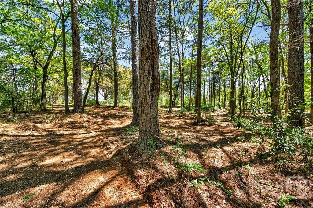 2330 Greensboro Highway Watkinsville GA 30677