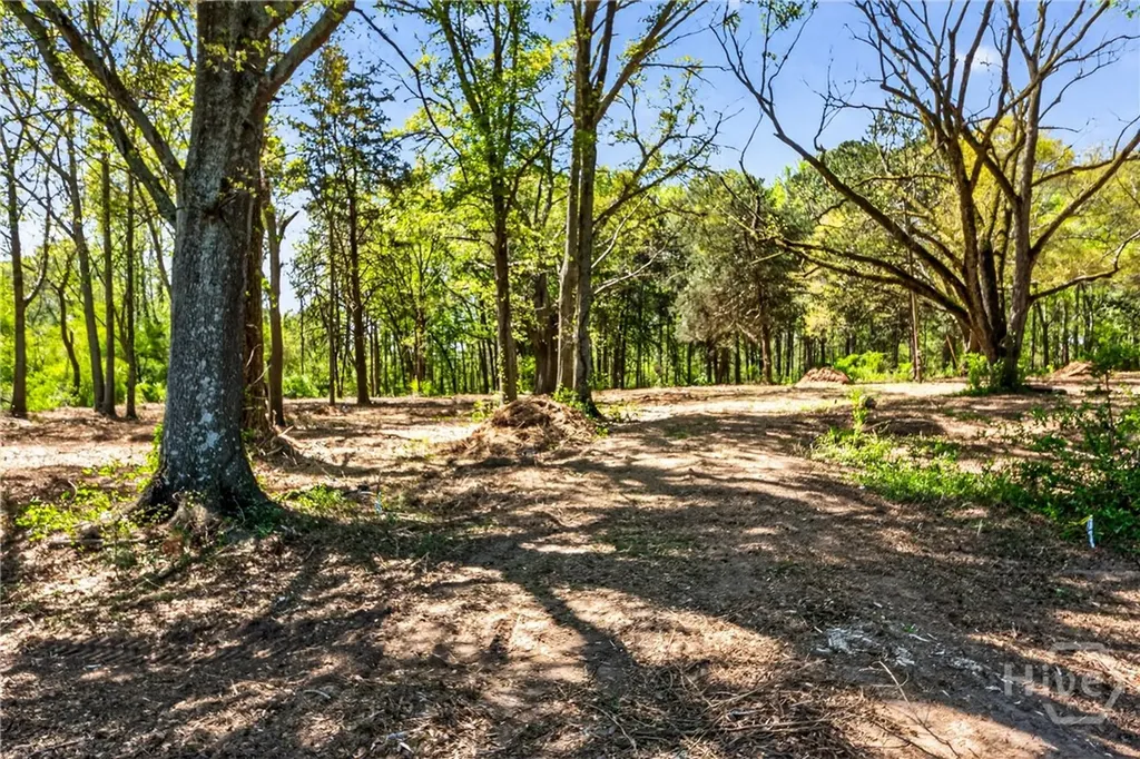 2330 Greensboro Highway Watkinsville GA 30677