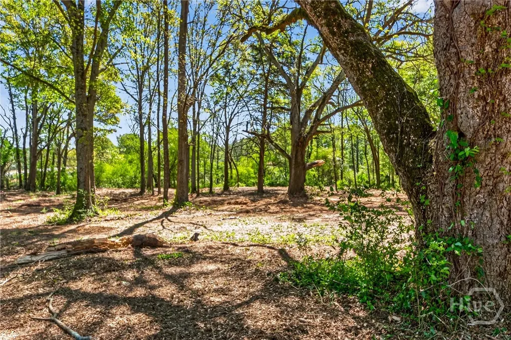 2330 Greensboro Highway Watkinsville GA 30677