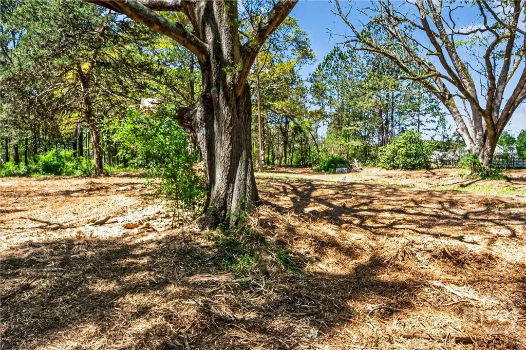 2330 Greensboro Highway Watkinsville GA 30677