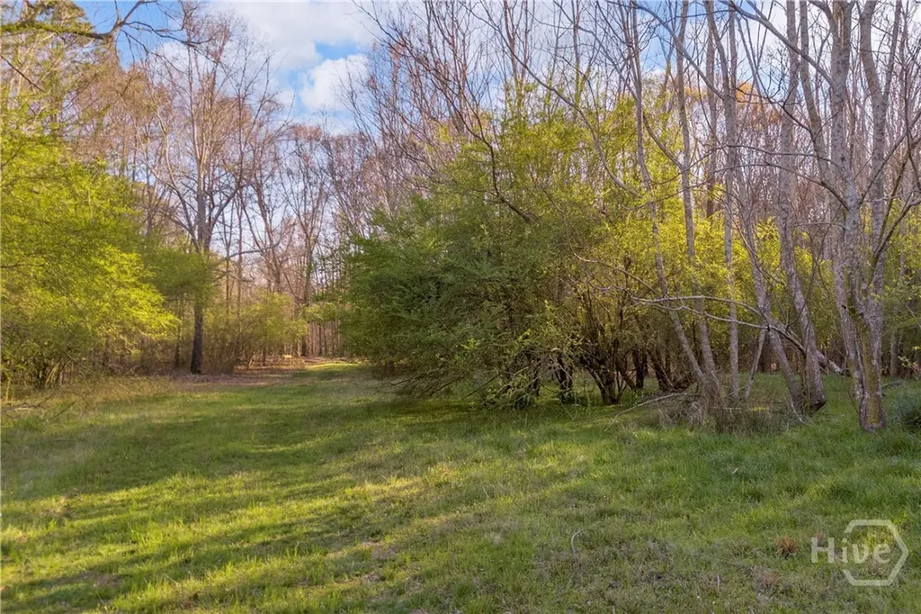 8714 Highway 172 Comer GA 30629