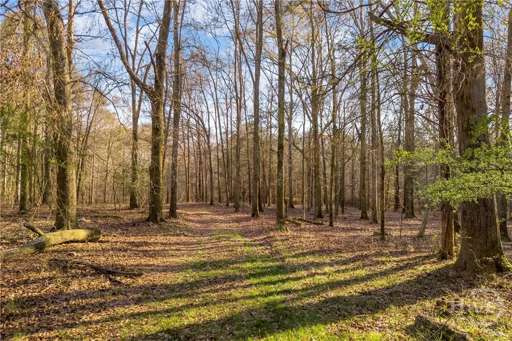 8714 Highway 172 Comer GA 30629
