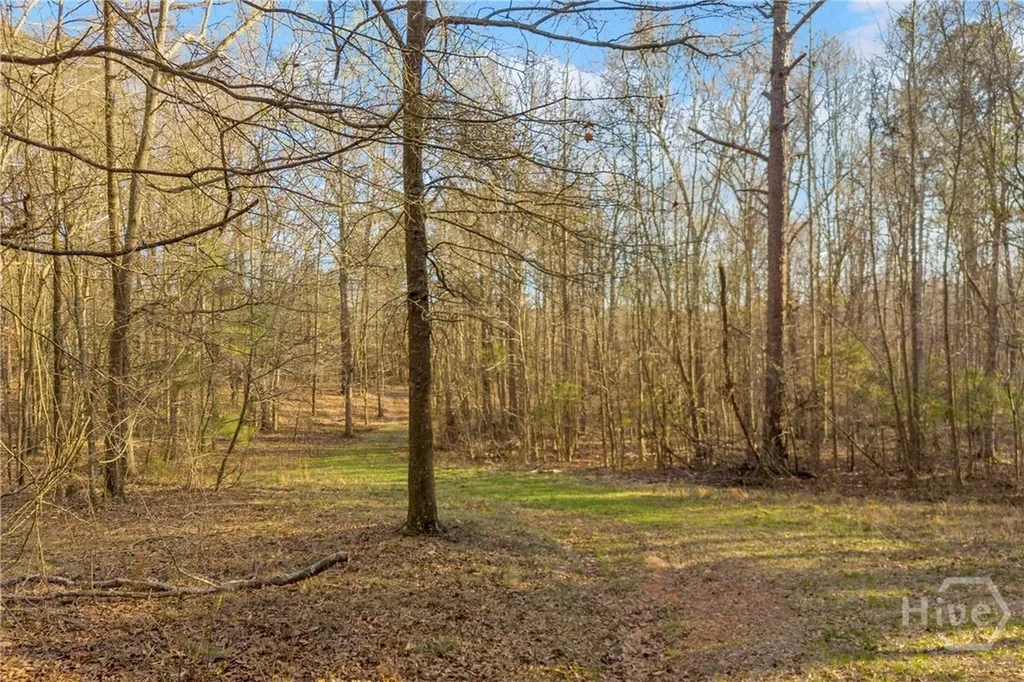 8714 Highway 172 Comer GA 30629