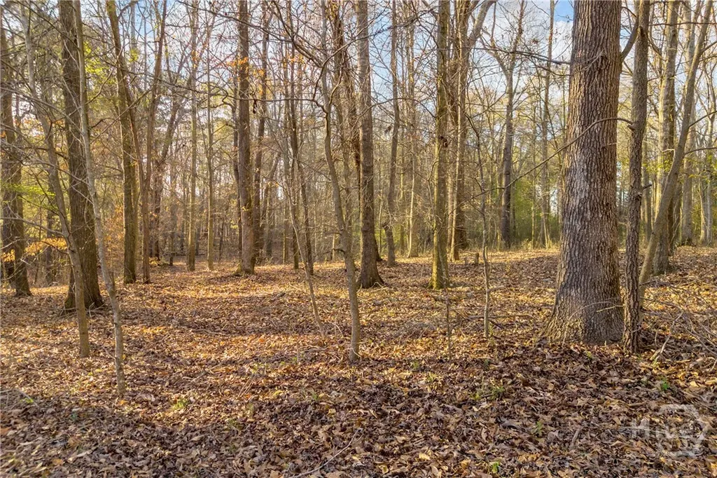 8714 Highway 172 Comer GA 30629