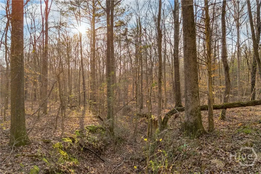 8714 Highway 172 Comer GA 30629