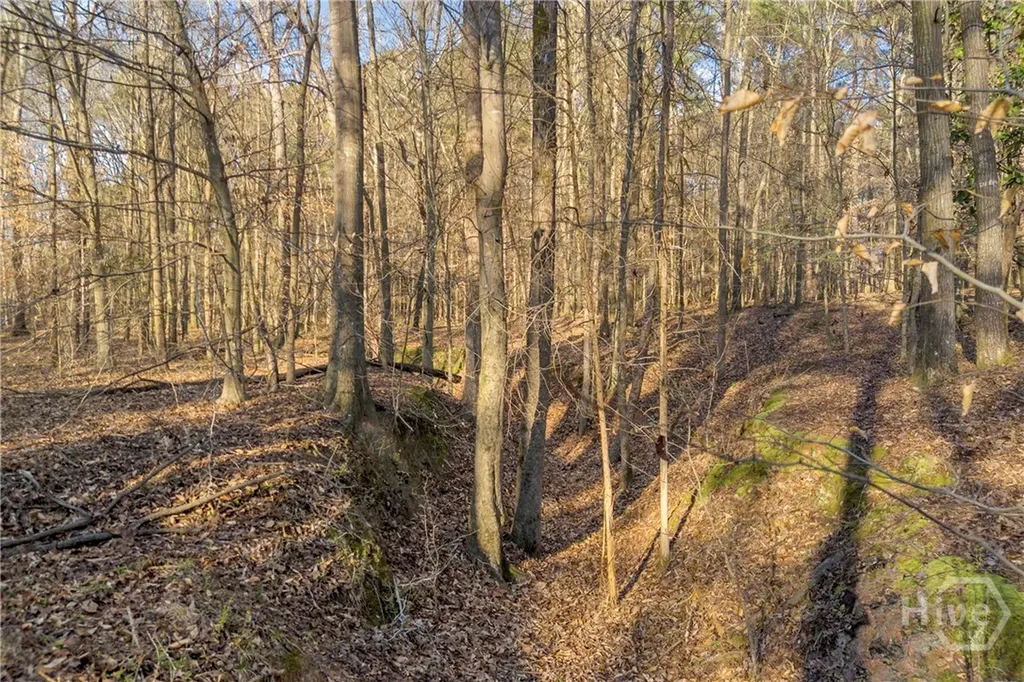 8714 Highway 172 Comer GA 30629