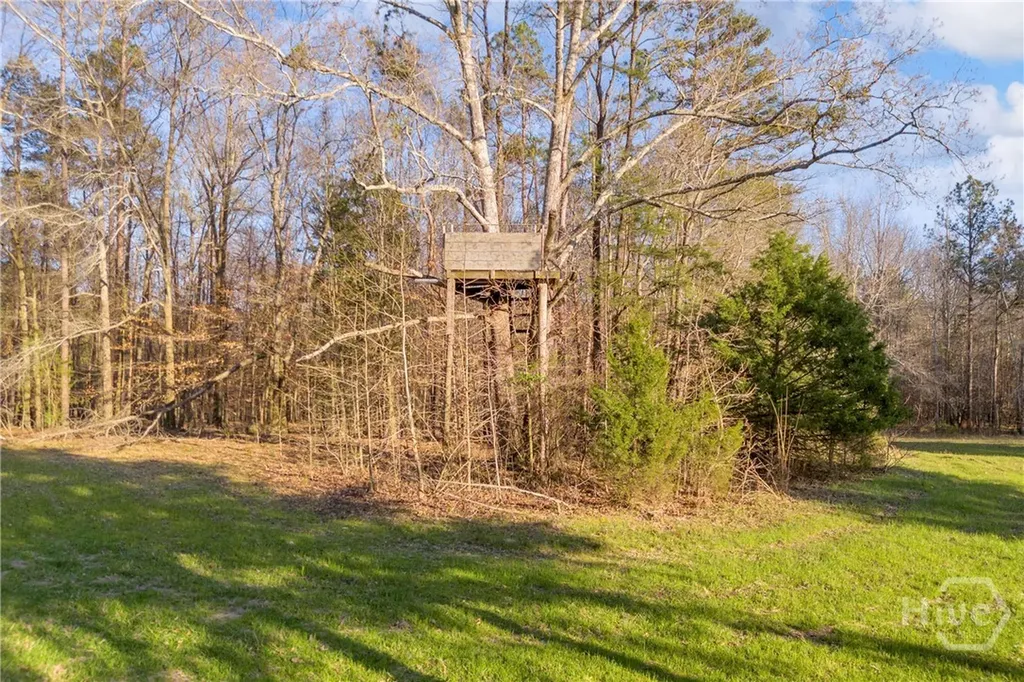 8714 Highway 172 Comer GA 30629