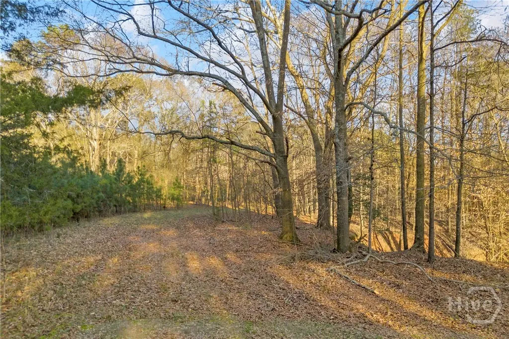 8714 Highway 172 Comer GA 30629