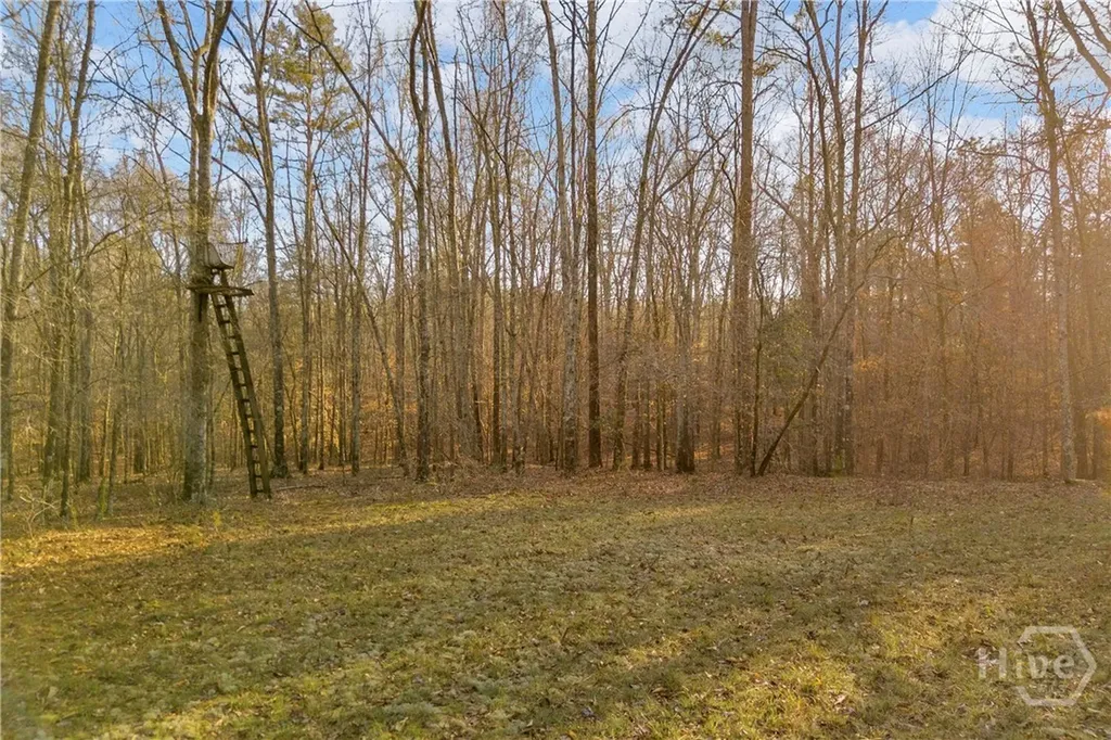 8714 Highway 172 Comer GA 30629