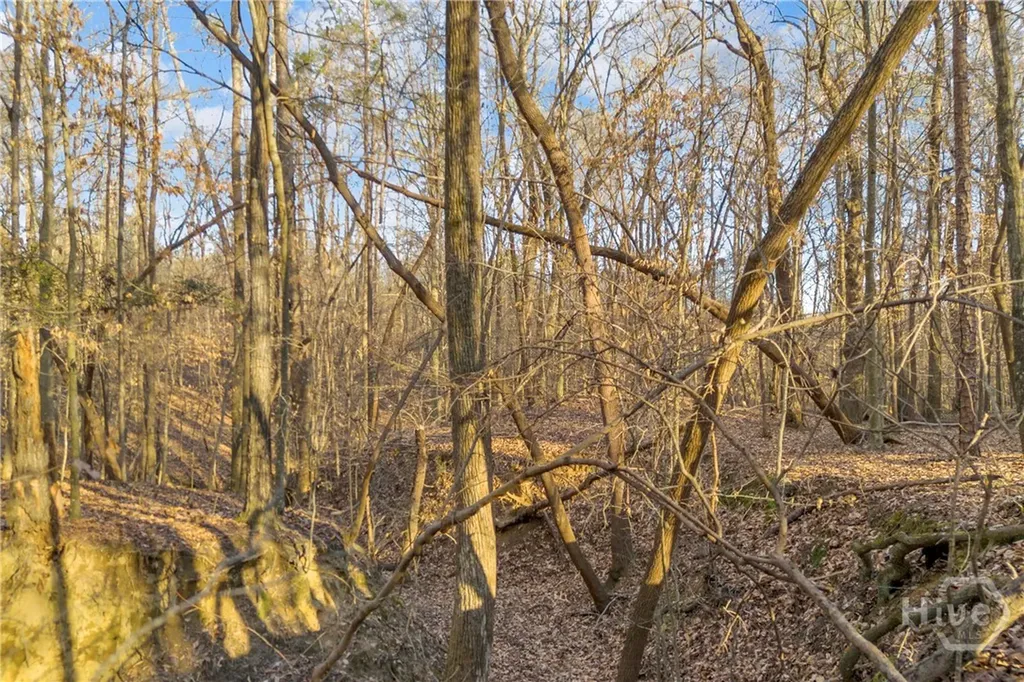 8714 Highway 172 Comer GA 30629