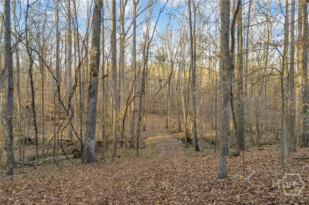 8714 Highway 172 Comer GA 30629
