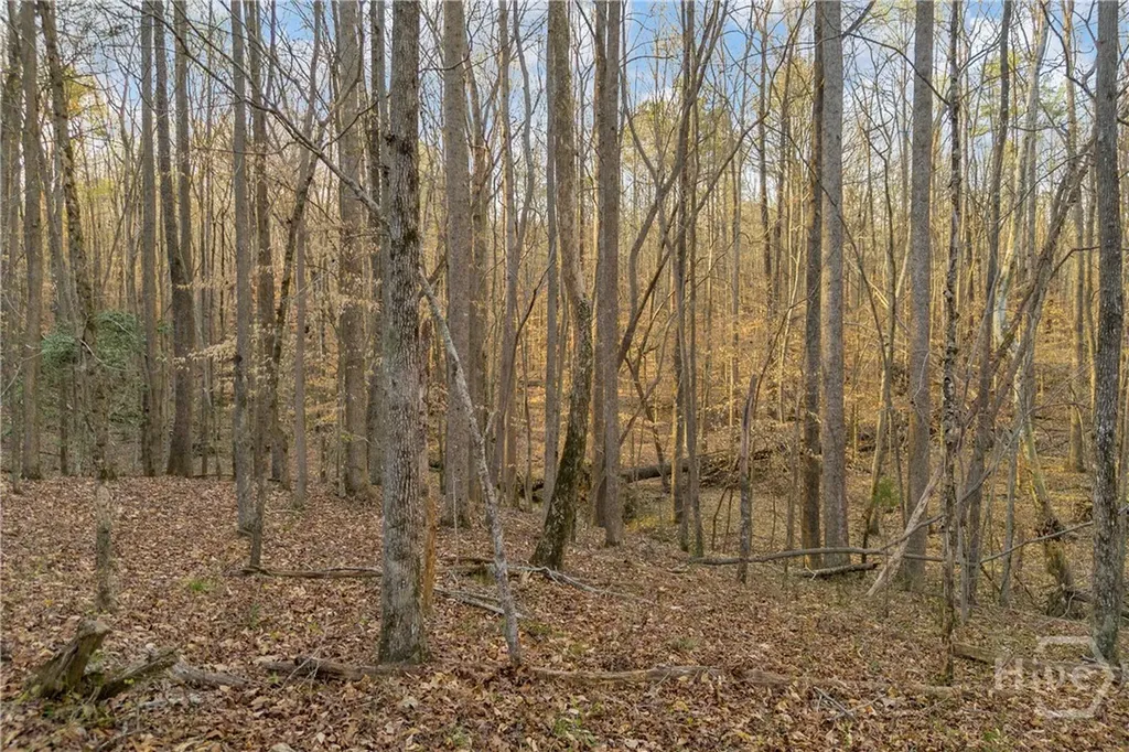 8714 Highway 172 Comer GA 30629