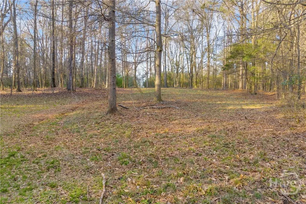 8714 Highway 172 Comer GA 30629