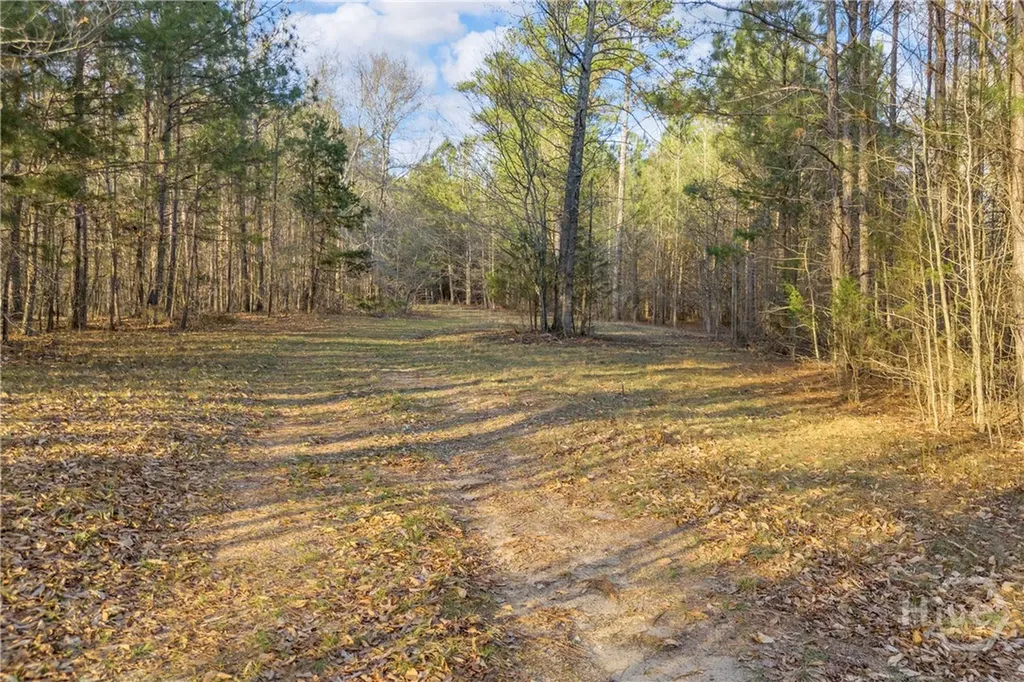8714 Highway 172 Comer GA 30629