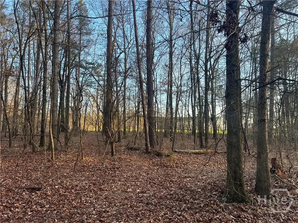 8714 Highway 172 Comer GA 30629