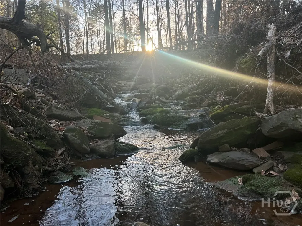 8714 Highway 172 Comer GA 30629