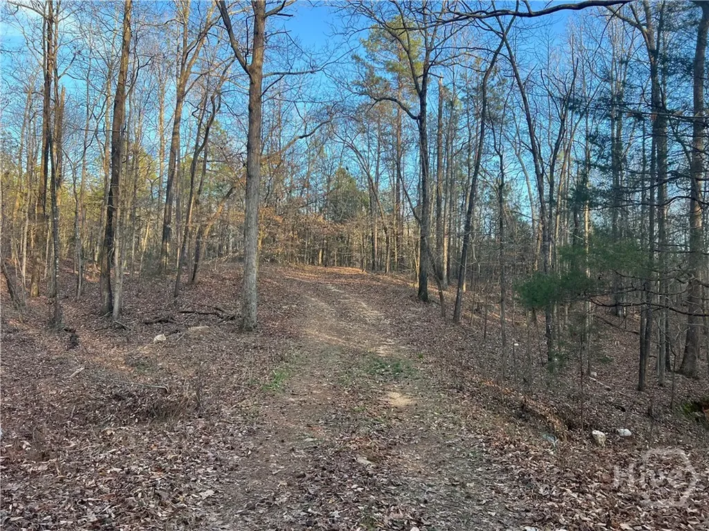 8714 Highway 172 Comer GA 30629