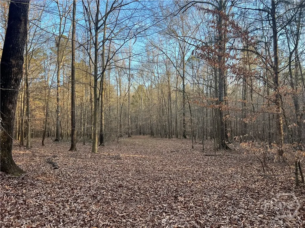 8714 Highway 172 Comer GA 30629