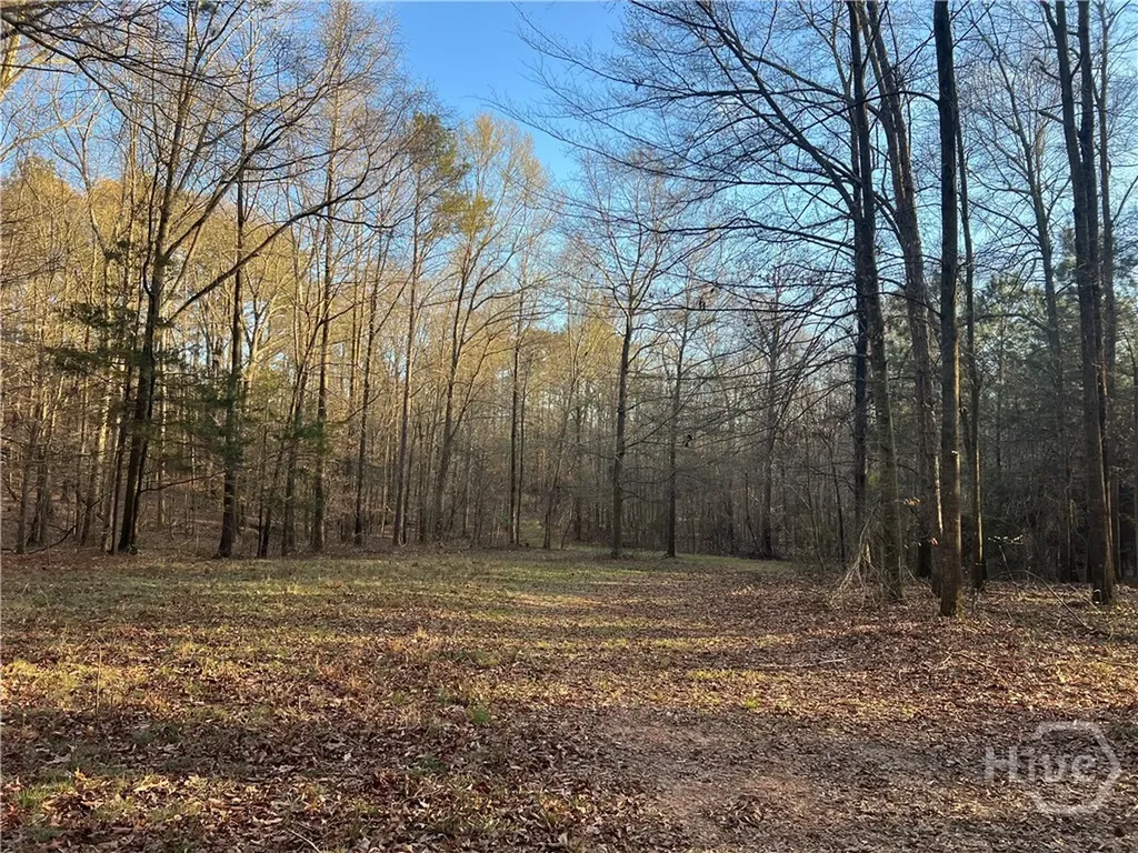 8714 Highway 172 Comer GA 30629