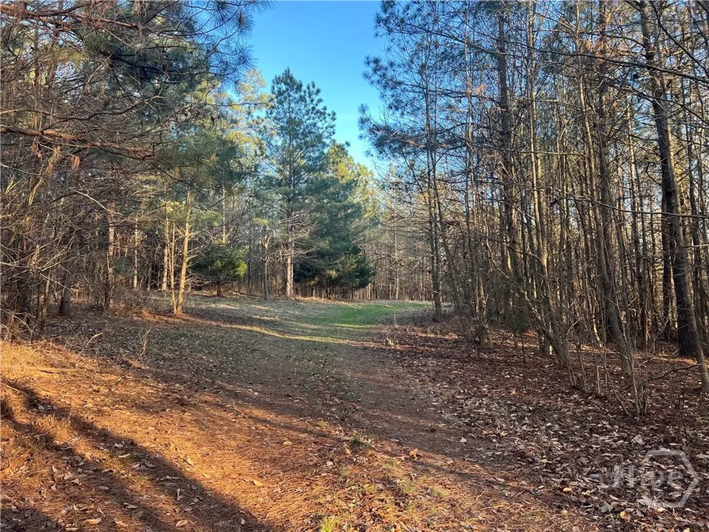 8714 Highway 172 Comer GA 30629