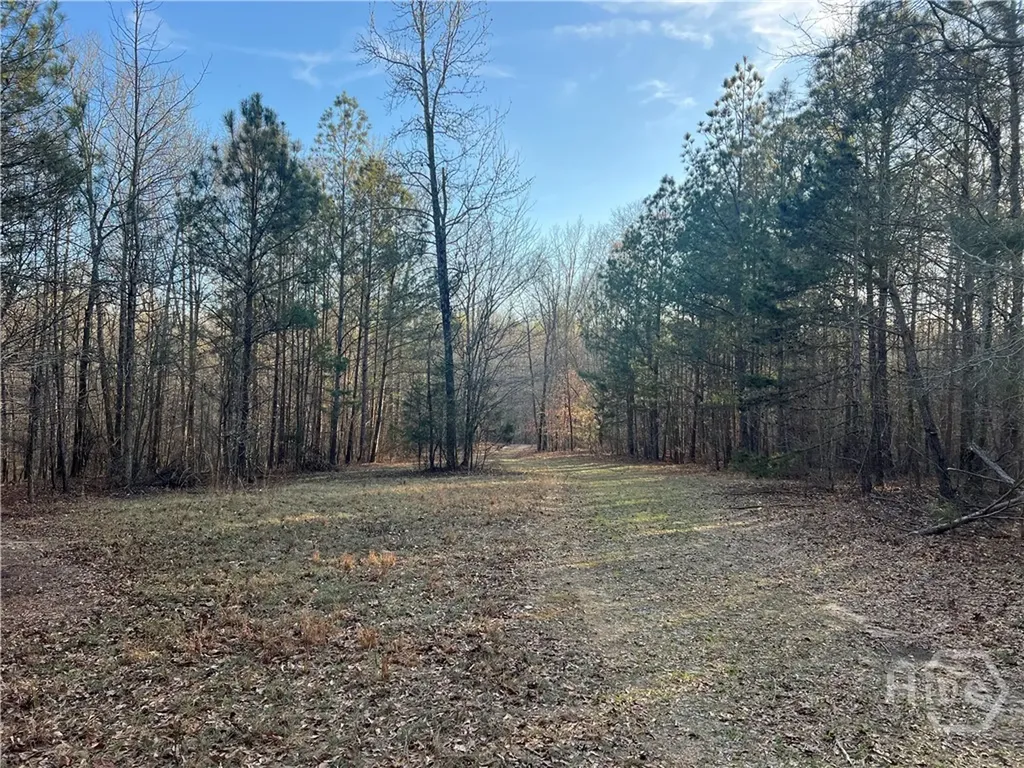 8714 Highway 172 Comer GA 30629