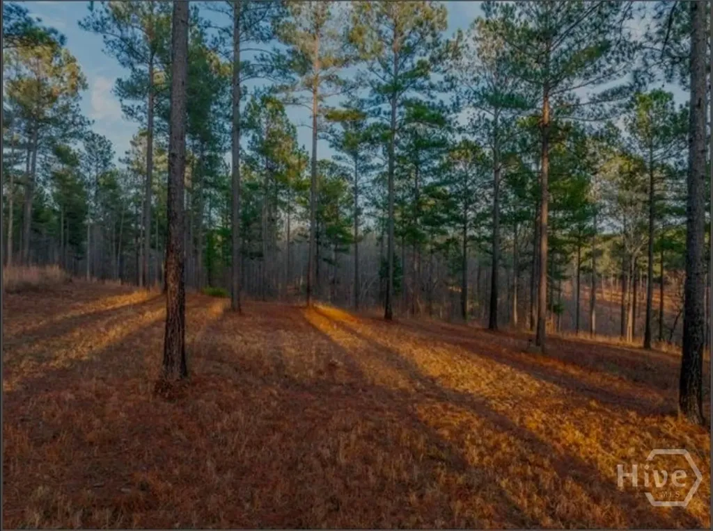 163 Overlook Drive Eatonton GA 31024