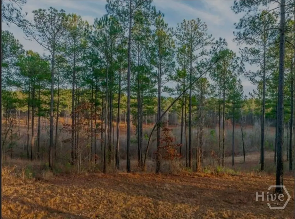 163 Overlook Drive Eatonton GA 31024