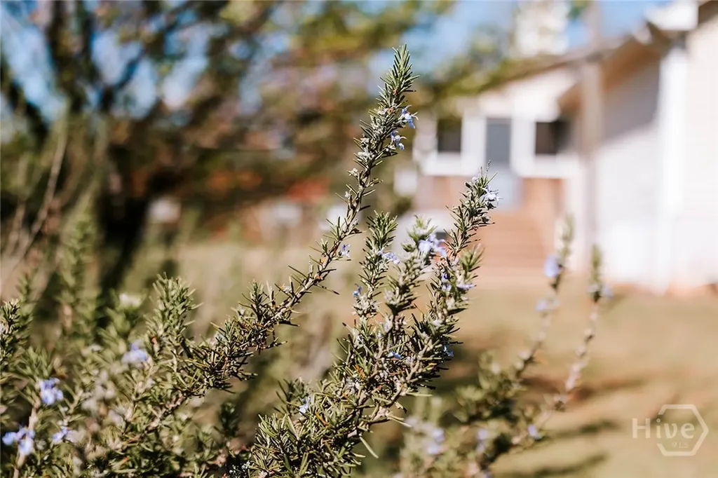 2242 Crawfordville Road Rayle GA 30660