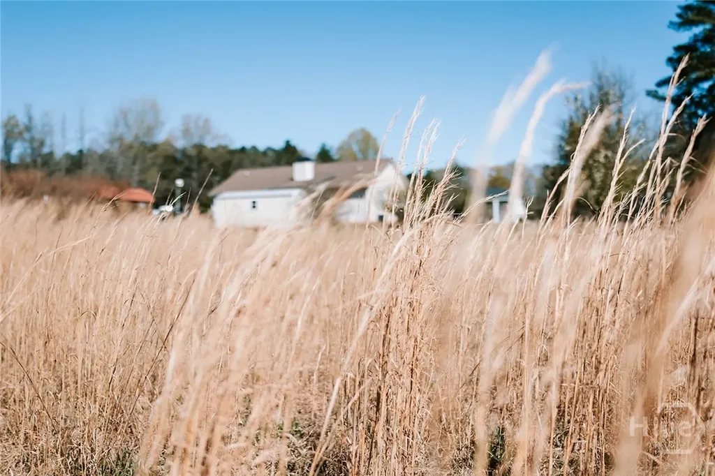 2242 Crawfordville Road Rayle GA 30660