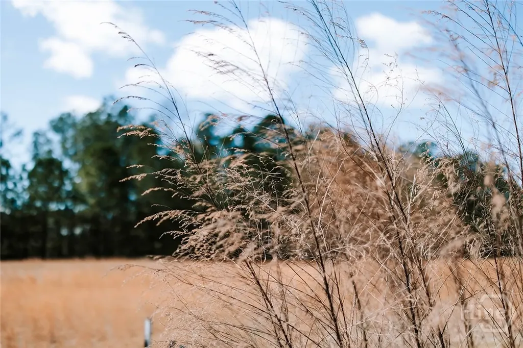 2242 Crawfordville Road Rayle GA 30660