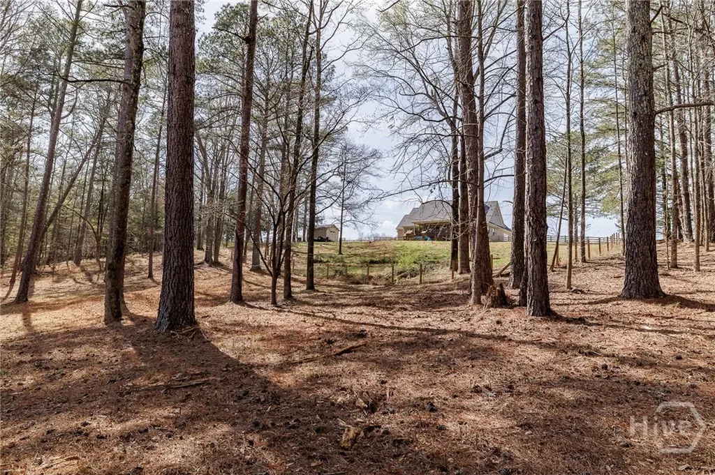12 Blackthorn Road Colbert GA 30628