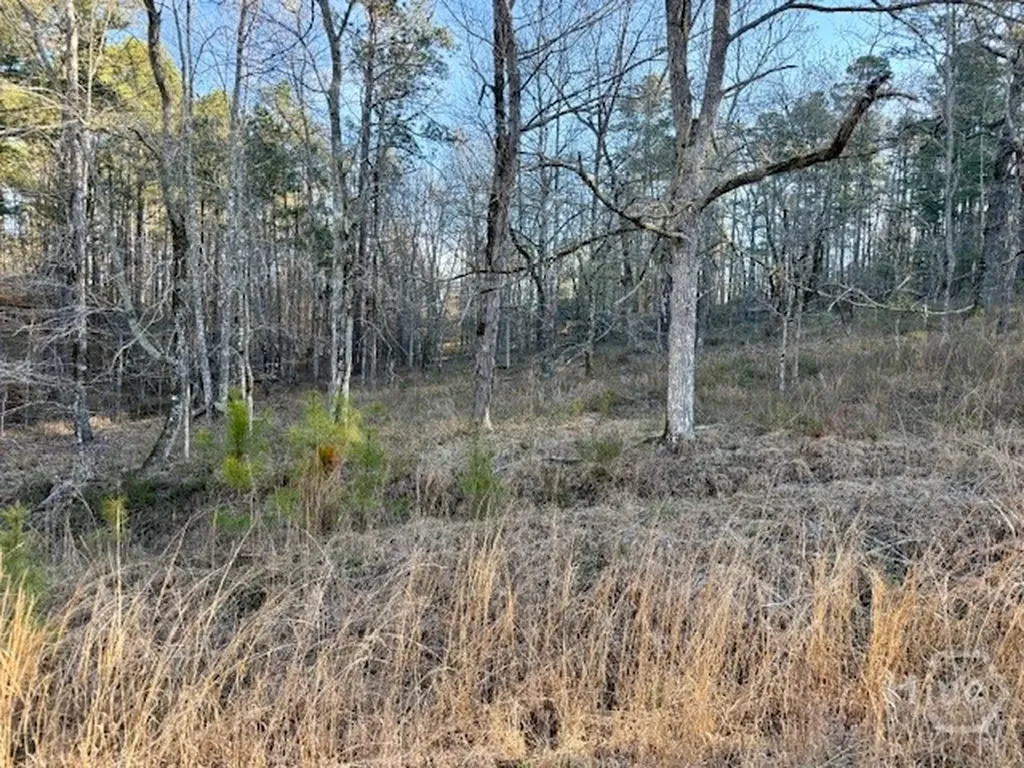 0 River Ridge Trail Sparta GA 31087