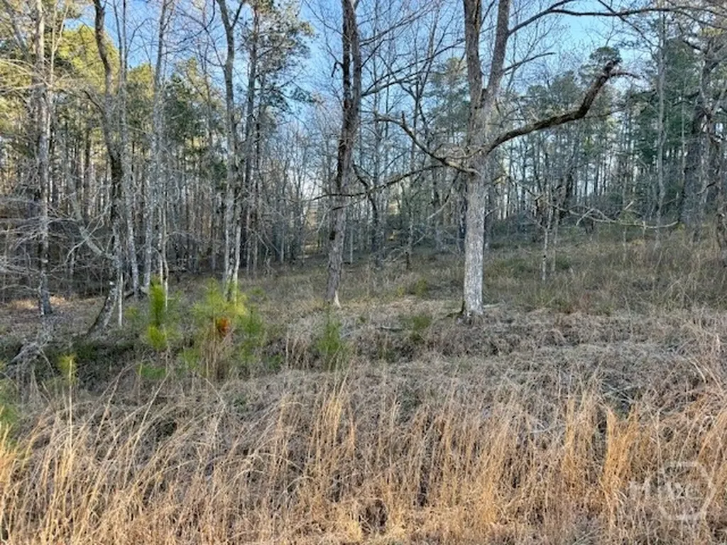 0 River Ridge Trail Sparta GA 31087