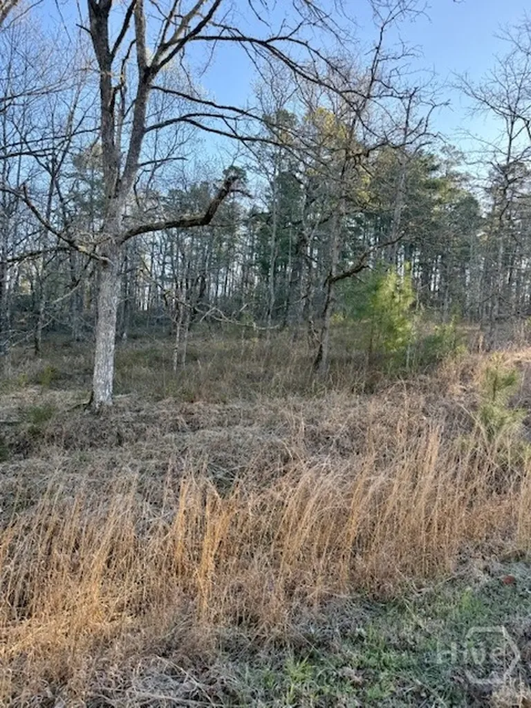 0 River Ridge Trail Sparta GA 31087
