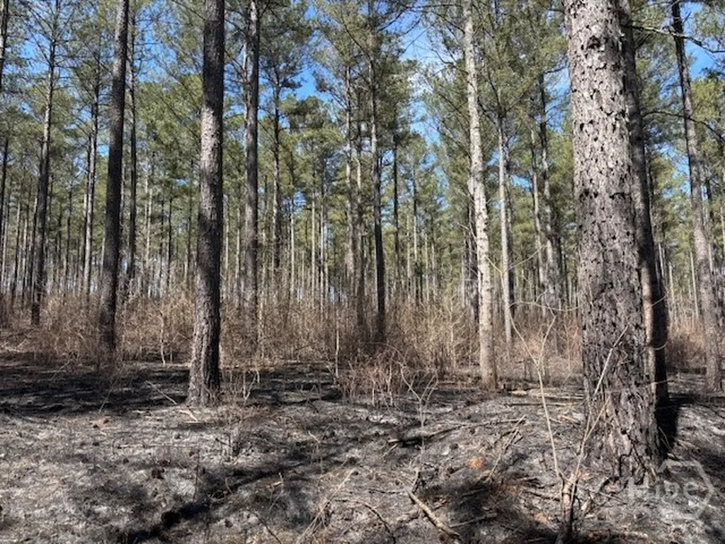 000 Faust Farm Road Arnoldsville GA 30619