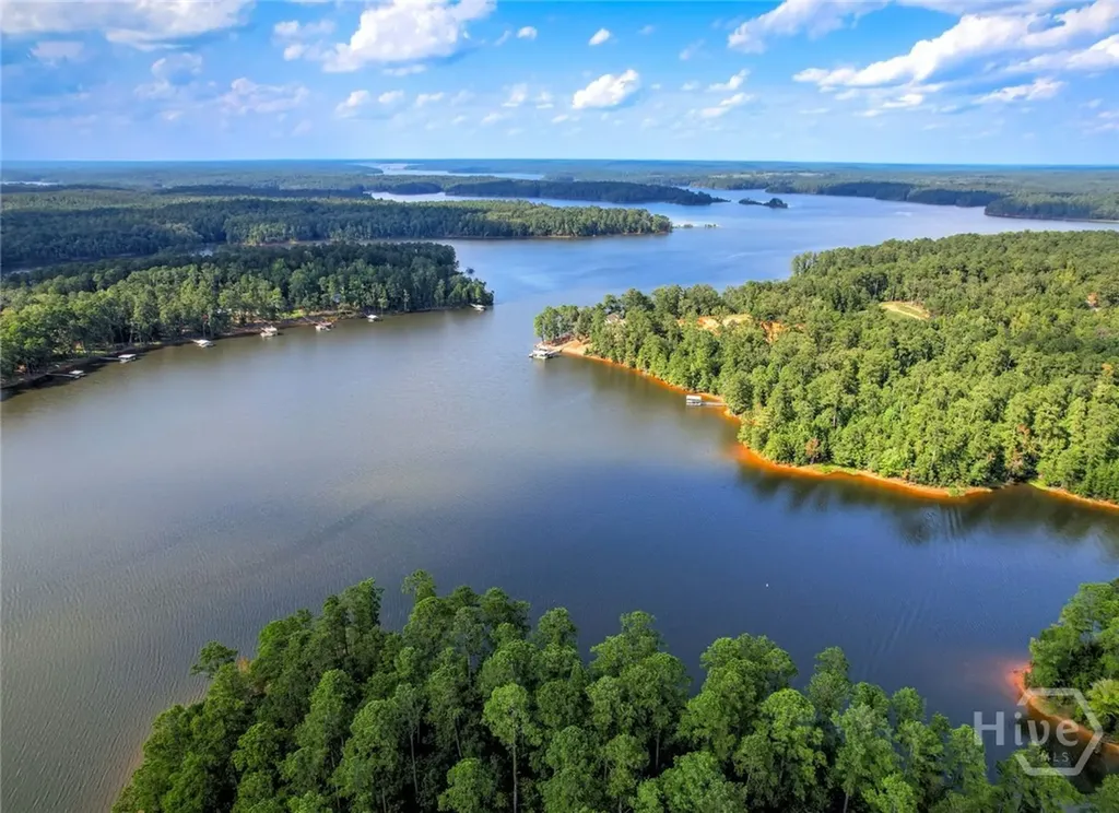1309 Shimmering Water Cove Tignall GA 30668