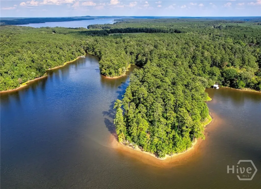 1309 Shimmering Water Cove Tignall GA 30668