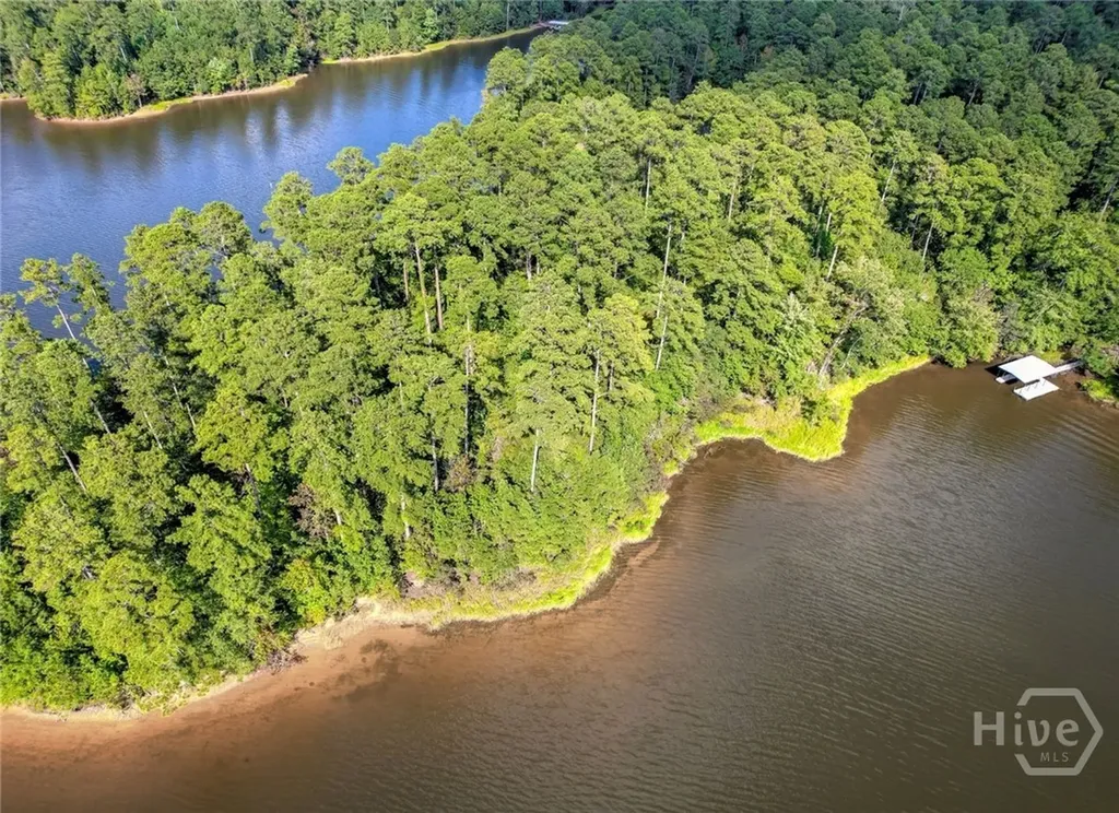 1309 Shimmering Water Cove Tignall GA 30668