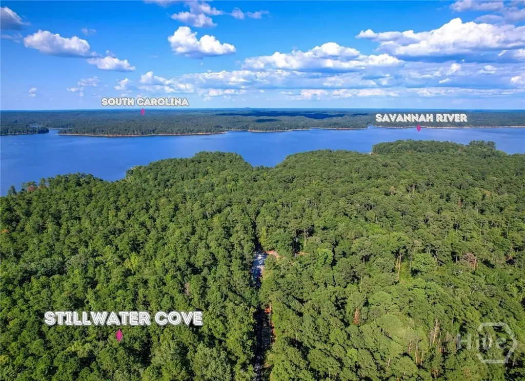 1309 Shimmering Water Cove Tignall GA 30668