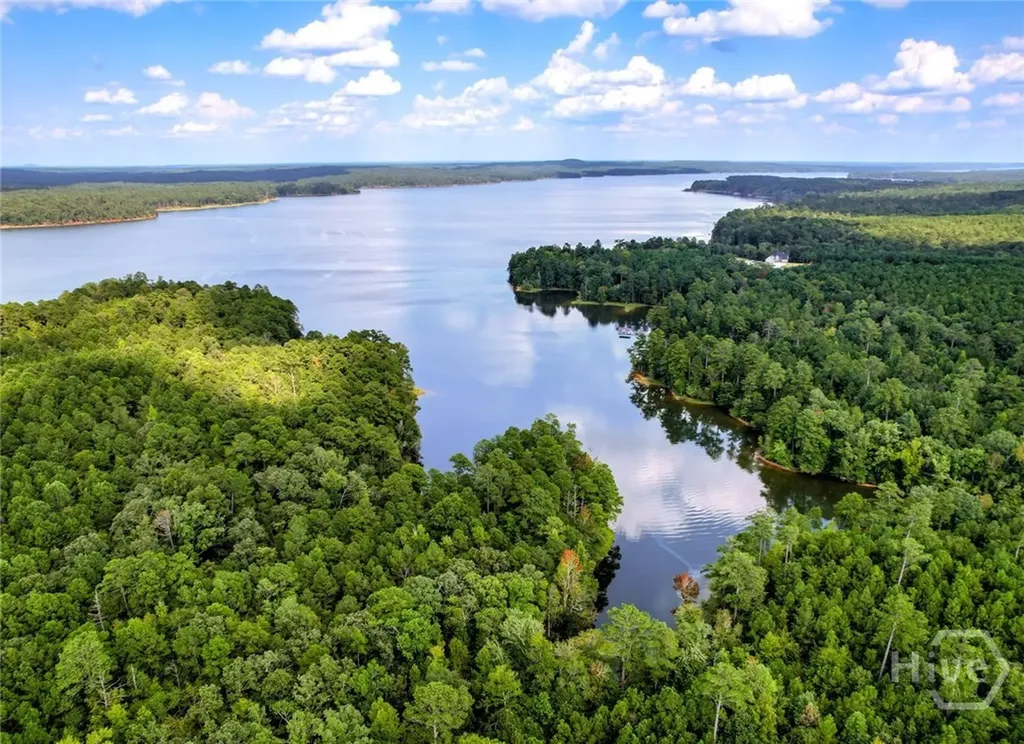 1309 Shimmering Water Cove Tignall GA 30668