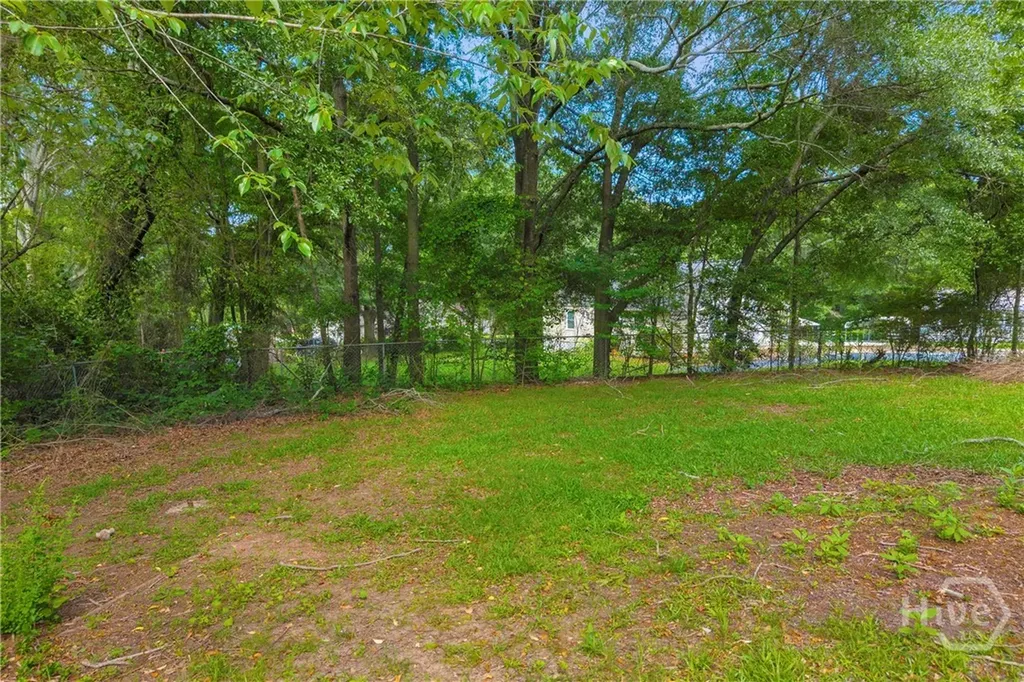 266 Randall Street Lavonia GA 30553