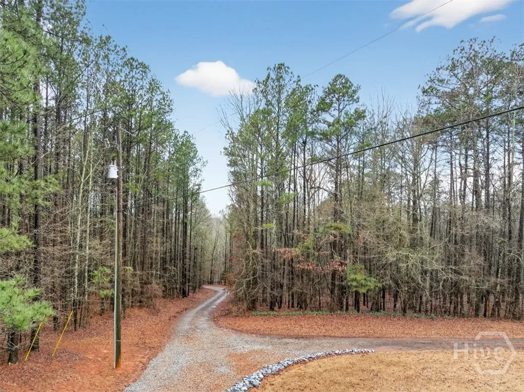 1194 Foster Road Statham GA 30666