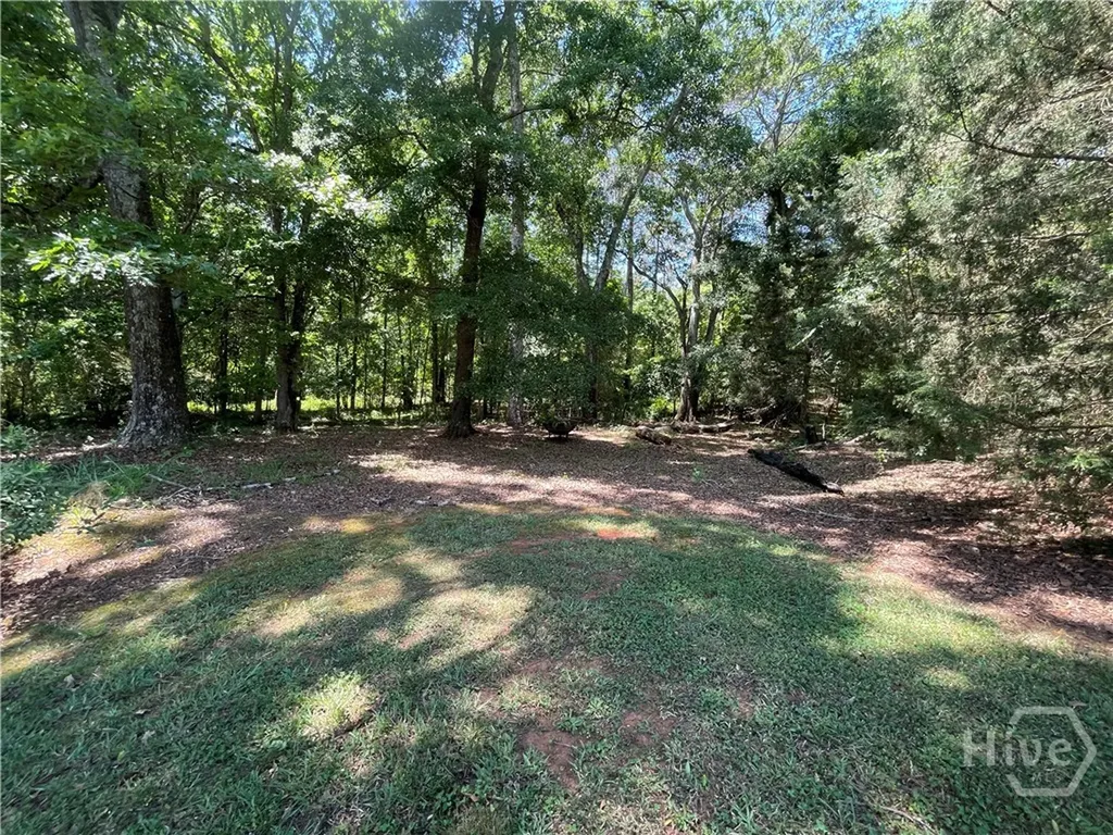 156 Lake Oglethorpe Drive Arnoldsville GA 30619