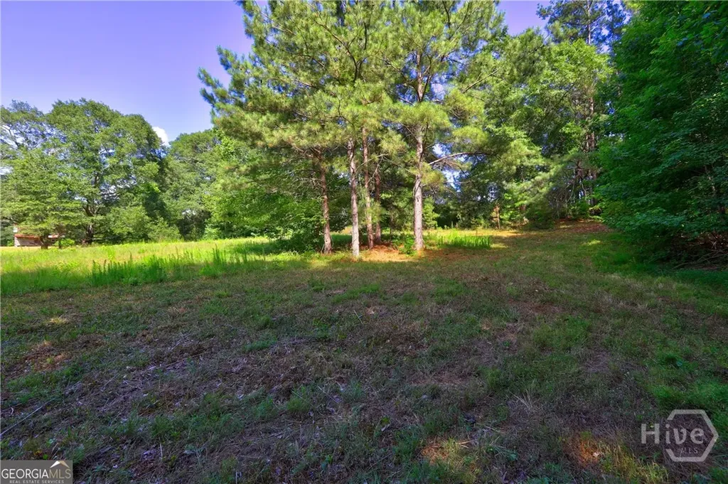 0 New Hope Church Road Loganville GA 30052