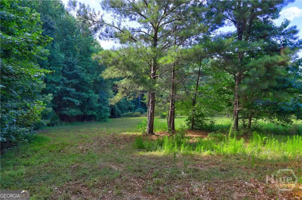 0 New Hope Church Road Loganville GA 30052