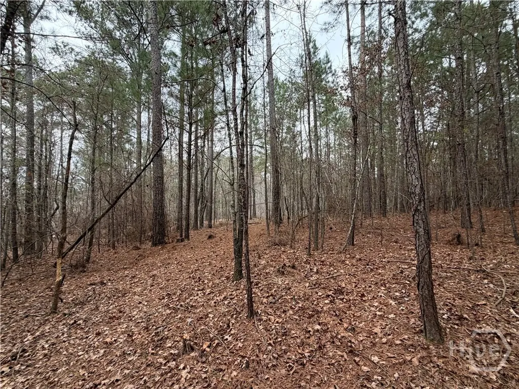 1700 Northwoods Drive Greensboro GA 30642