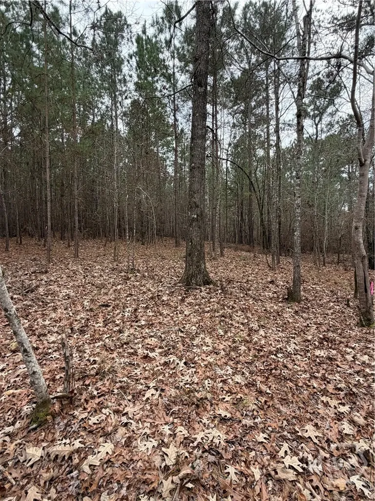 1700 Northwoods Drive Greensboro GA 30642