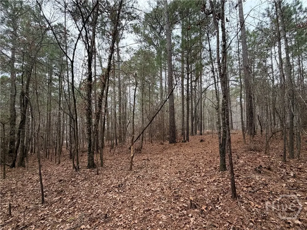 1700 Northwoods Drive Greensboro GA 30642
