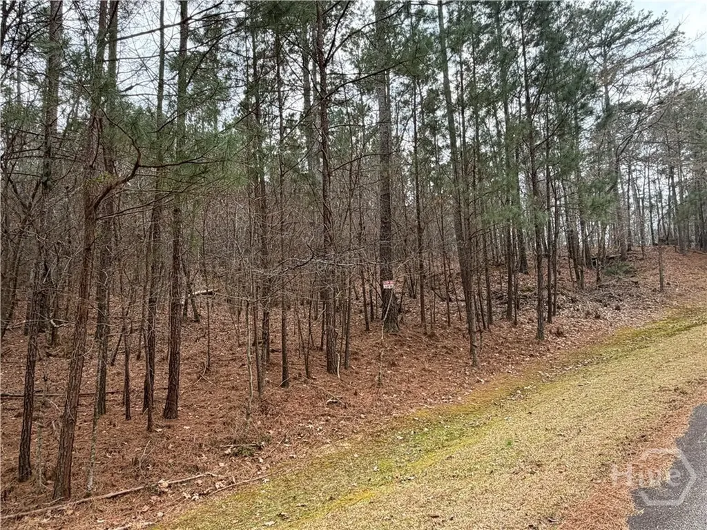 1700 Northwoods Drive Greensboro GA 30642