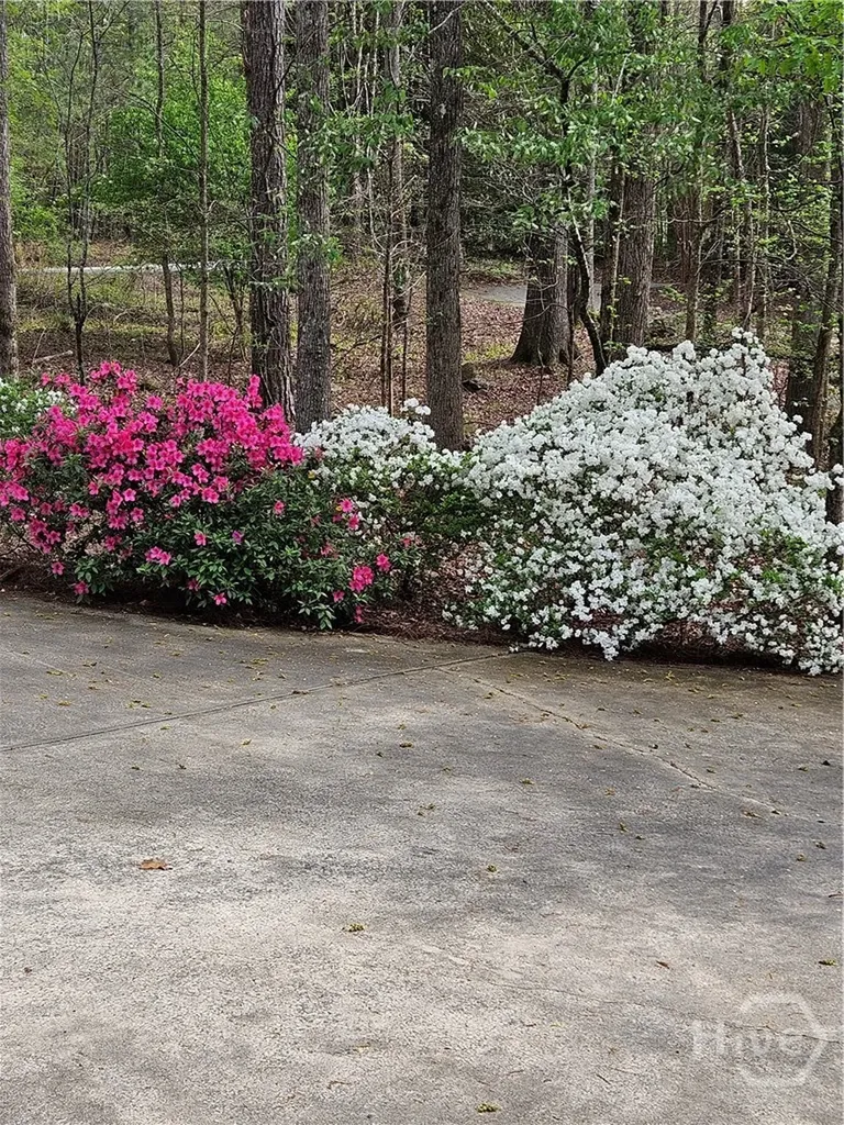 295 Blue Heron Drive Athens GA 30605